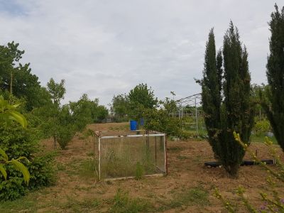 FOX - PREDANÉ * záhrada s chatkou * Zvončín * veľkosť pozemku 1129 m2 * krásne prostredie - 8