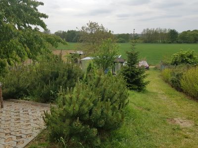 FOX - PREDANÉ * záhrada s chatkou * Zvončín * veľkosť pozemku 1129 m2 * krásne prostredie - 6