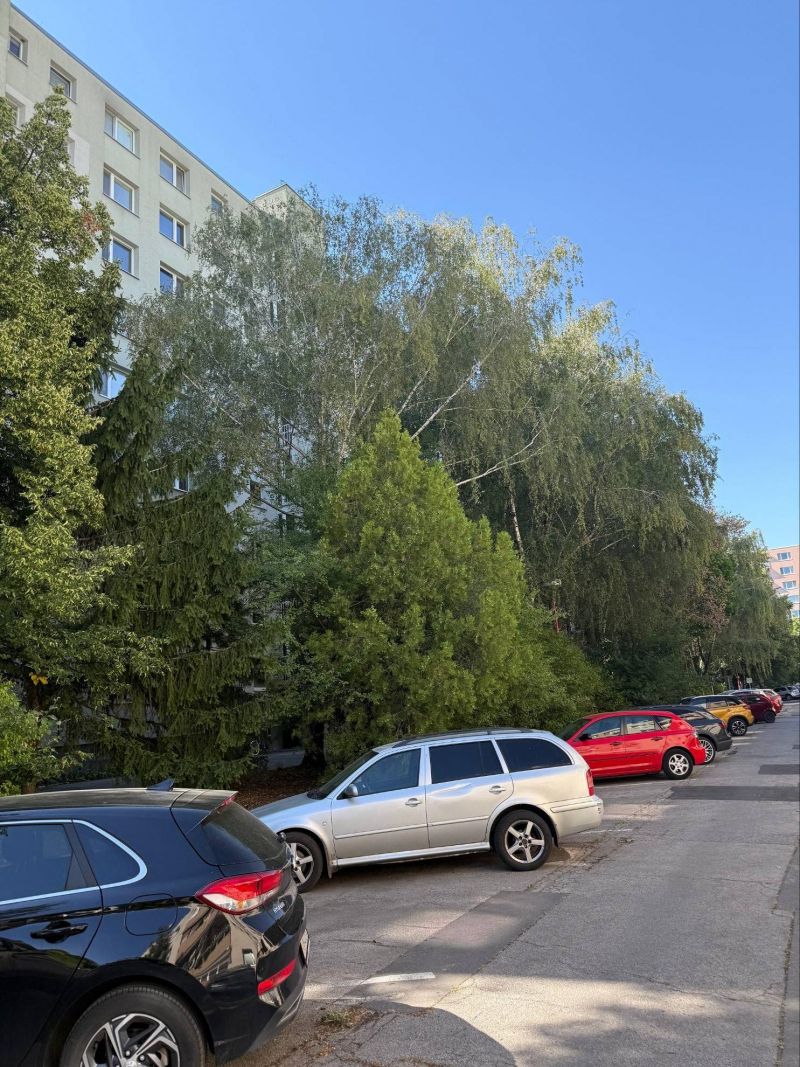 FOX * 3 izbový byt typu BAURING * Čajkovského - 2