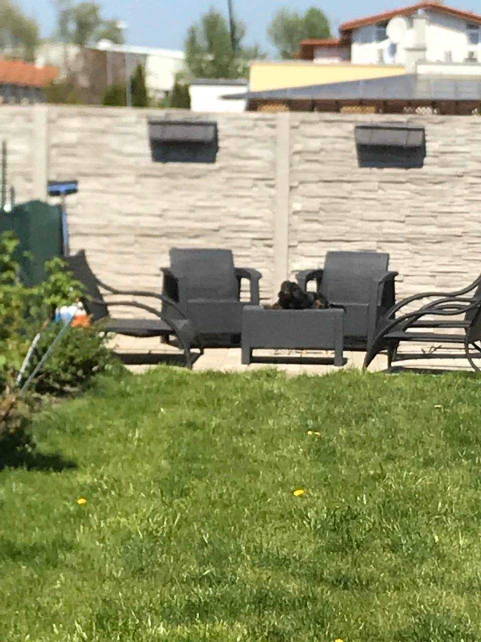 FOX - REZERVOVANÉ * rodinný dom * Dunajská Lužná * novostavba s garážou * výborná lokalita - 21